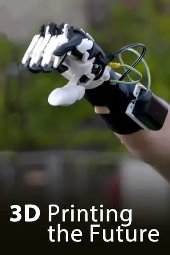 3D - Printing the future (2017)