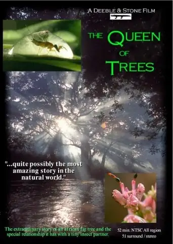 The Queen Of Trees (2005)
