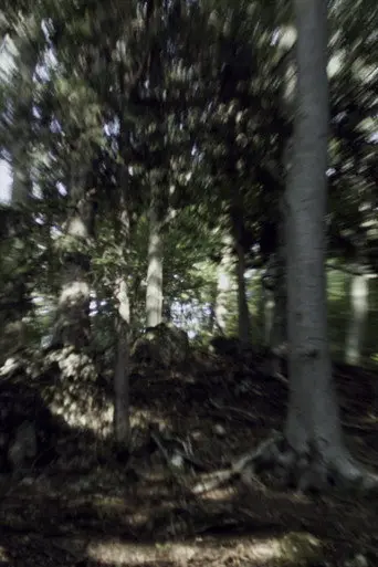 VERTIGO RUSH (2007)