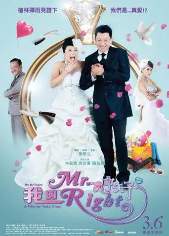 我的Mr. Right (2015)