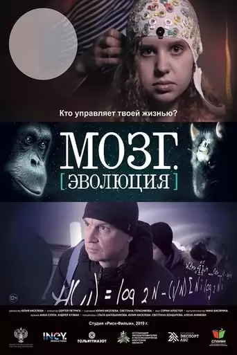 Brain. Evolution (2019)