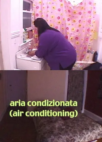 Air Conditioning (2005)