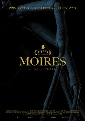 Moires (2020)