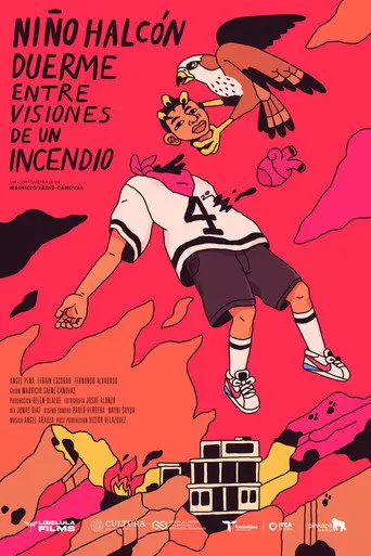 Hawk Boy Sleeps Amidst Visions of a Fire (2024)