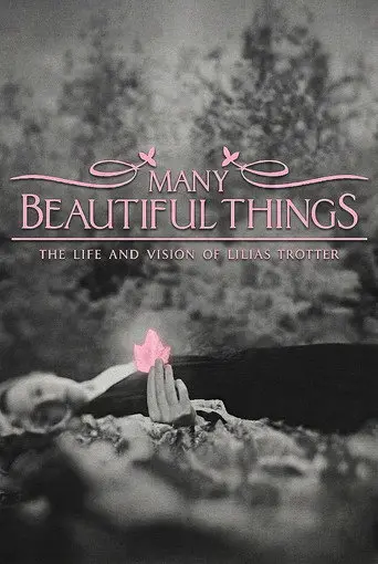 Many Beautiful Things (2015)