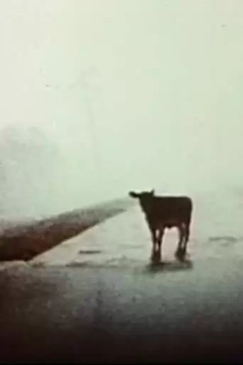 Everywhere at Once (1985)