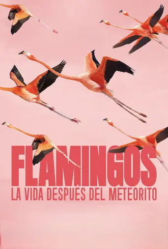 Flamingos: Life After the Meteorite (2026)