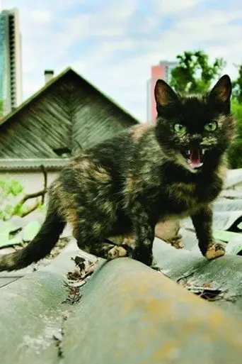 Shanghai Banzai (2010)