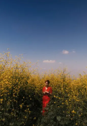 Maiden (2017)