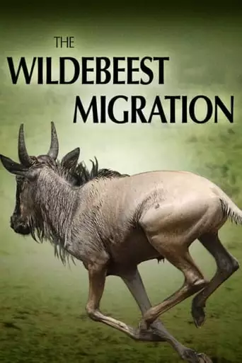 The Wildebeest Migration (2012)