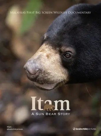 Itam: A Sun Bear Story (2026)