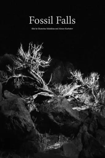 Fossil Falls (2019)