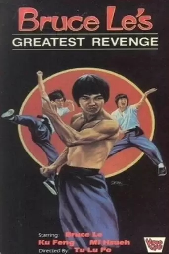 Way Of The Dragon 2 (1978)