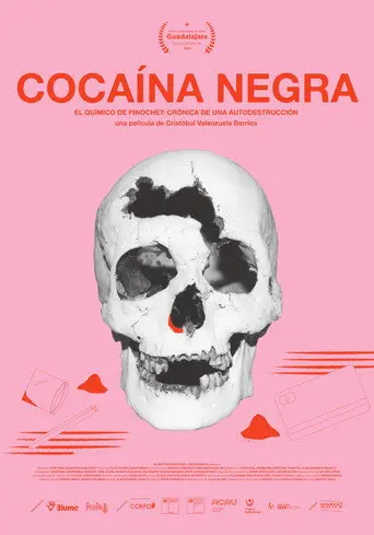 Black Cocaine (2026)