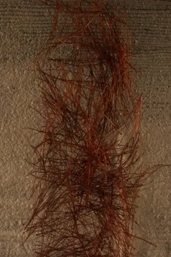 Kigo (2013)