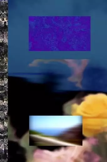 Queer Glitches, Failure Feminisms (2024)