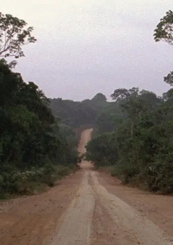 Travelling Amazonia (2006)