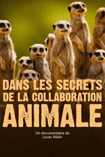 Dans les secrets de la collaboration animale (2021)