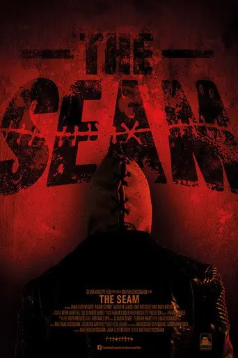The Seam (2017)