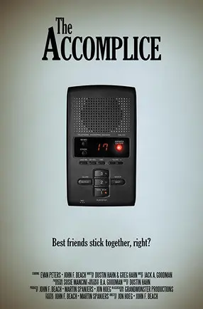 The Accomplice (2017)