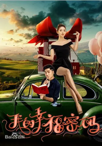 我的幸福密码 (2017)