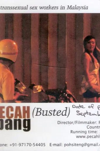 Busted (2008)