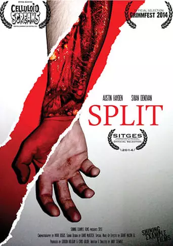 Split (2014)