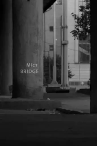 Bridge (2014)