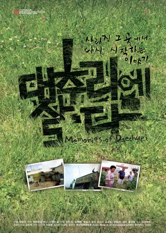 Memories of Daechuri (2009)