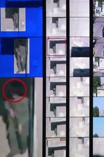 The Pixelated Revolution (2012)