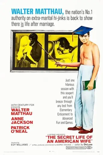 The Secret Life Of An American Wife (1968)