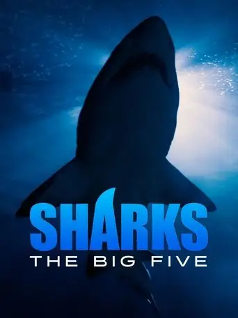 Sharks - The Big Five (2013)