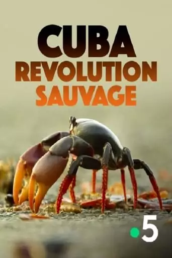 Cuba, Revolution Sauvage (2019)
