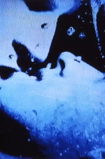 Self-Portrait In 23 Rounds: A Chapter In David Wojnarowicz's Life, 1989-1991 (2019)
