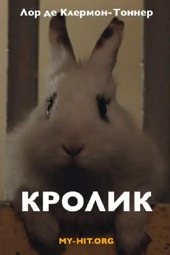 Rabbit (2014)
