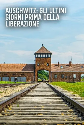 Auschwitz: Countdown to Liberation (2025)