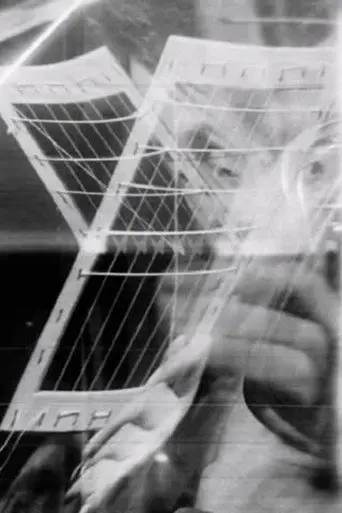 Volto telato (2002)