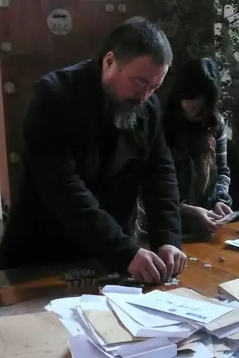 Ai Weiwei's Appeal ¥15,220,910.50 (2014)