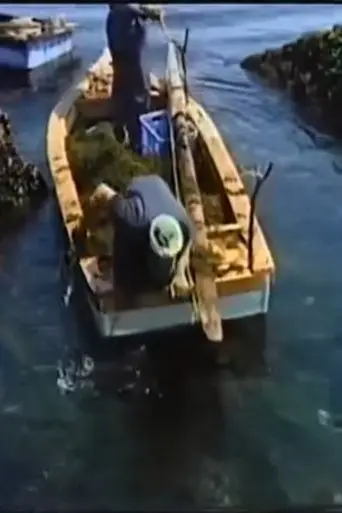 Fishing Moon (1980)