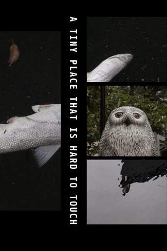 A Tiny Place That Is Hard To Touch (2019)