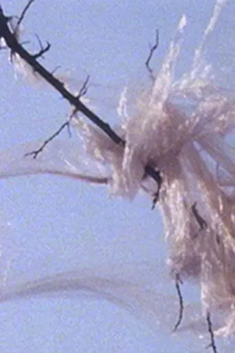 When You See a Rose (1995)