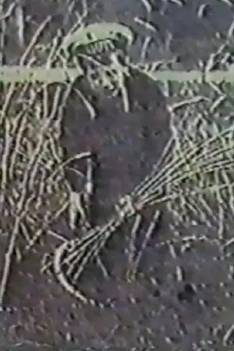 Angel of the Harvest (1992)
