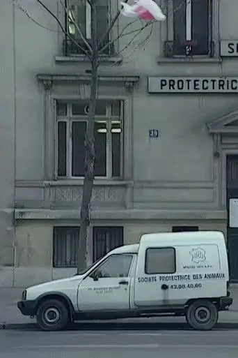 We Are All Cockroaches (1997)