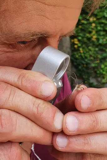 Geheimnisvolle Parktiere - Wildes Leben in der Stadt (2021)