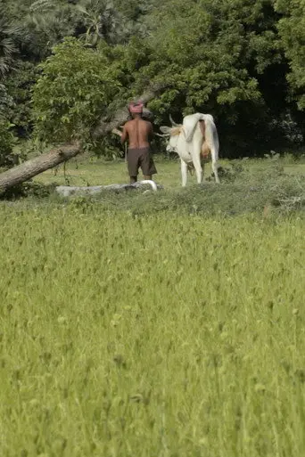 Where I Can’t Be Found (2014)