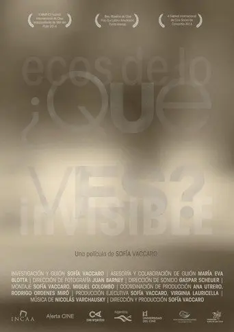 ¿Qué ves? Ecos de lo invisible (2014)
