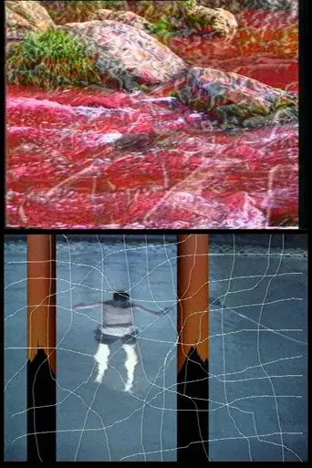 Navigations (1995)