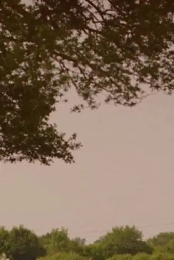 What's Killing Our Bees? (2013)