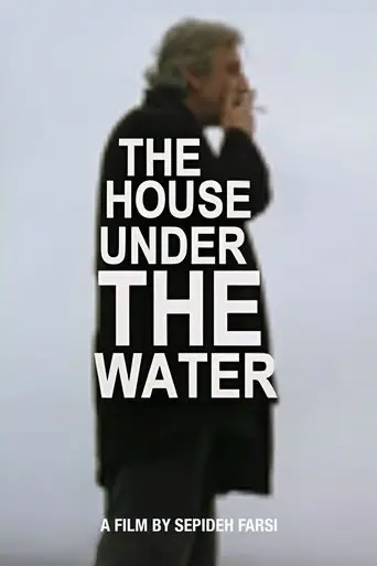 The House under the Water (2010)