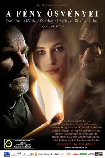 Paths of Light (2005)